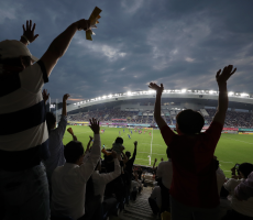 fans at stadium